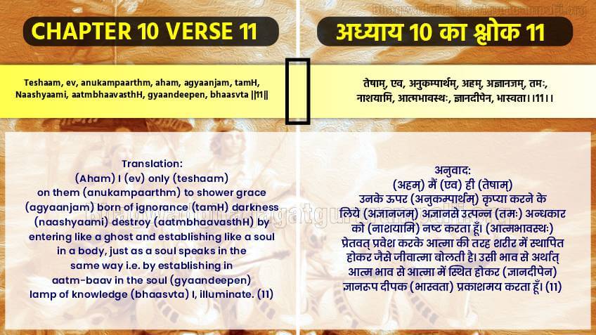 Chapter 10 Verse 11