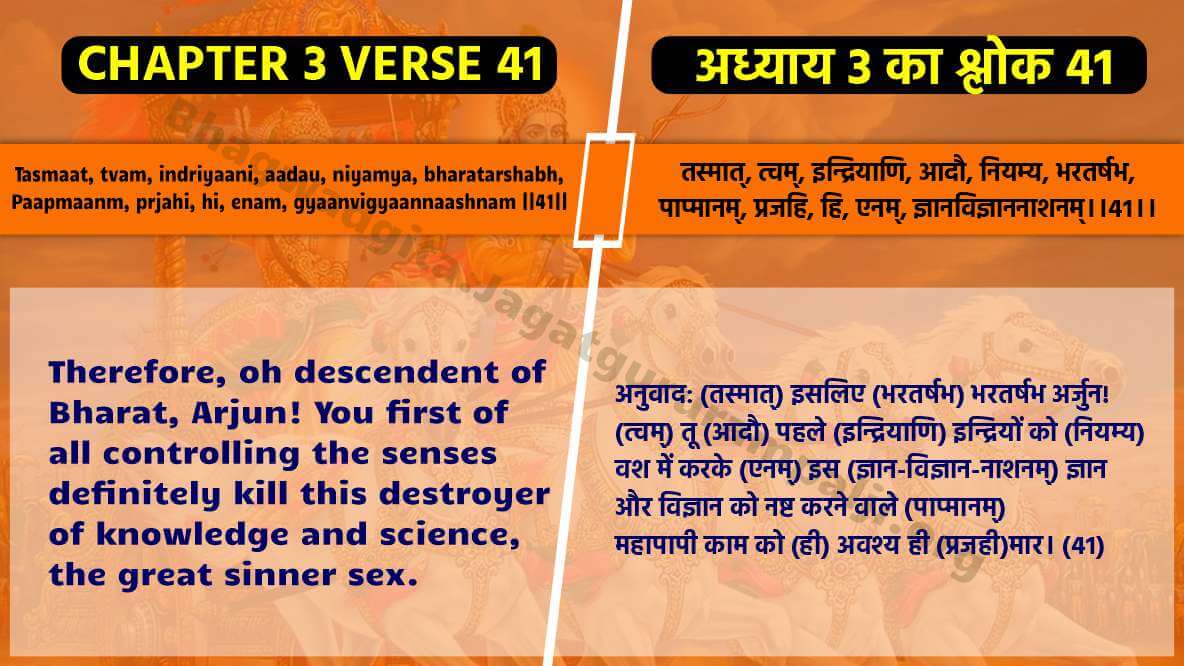 Chapter 3 Verse 41